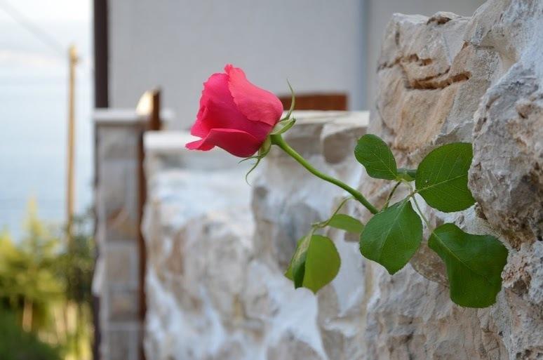 Holiday Villa In Omis Room photo